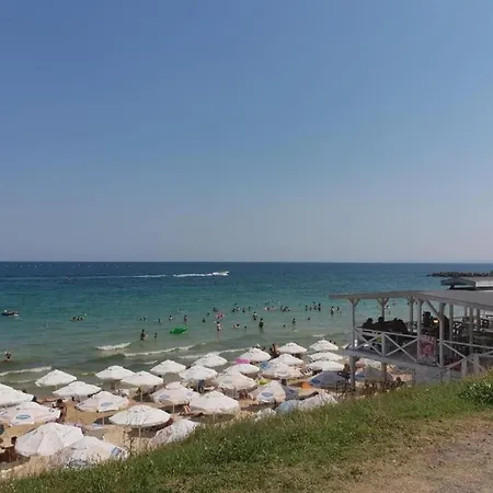 Mellia